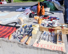 <p>Pchli targ przy Centrum Historii Zajezdnia w niedzielę 24 września</p>