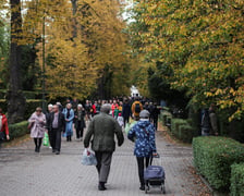 <p>Ostatnie przygotowania do dnia Wszystkich Świętych na cmentarzu Osobowickim</p>