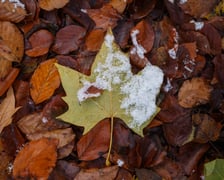 Śnieg w Parku Południowym