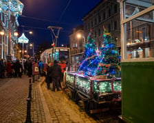 Darmowe choinki trafiły dziś do wrocławian