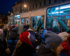 Darmowe choinki trafiły dziś do wrocławian