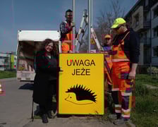 <p>Uwaga, jeze!</p>