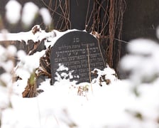<p>Stary Cmentarz Żydowski to jedyna nekropolia z XIX i XX w. na terenie Wrocławia.</p>