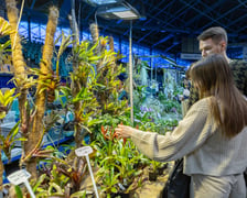 <p>ZooEgzotyka Wrocław w Hali Orbita zebrała w niedzielę 18 lutego tłumy odwiedzających</p>