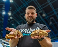 <p>ZooEgzotyka Wrocław w Hali Orbita zebrała w niedzielę 18 lutego tłumy odwiedzających</p>