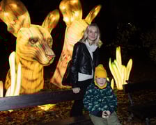 Wystawa Garden of Lights "Dzika Afryka" w zoo Wrocław