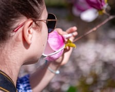 Wrocławski ogród botaniczny otwarty. Można go odwiedzać od 1 kwietnia do końca października.