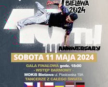Program festynu