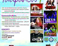 Program festynu