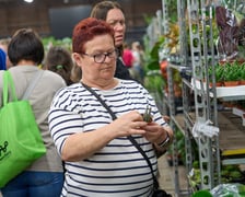 Festiwal Roślin w Czasoprzestrzeni