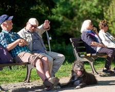 Muzyczny Piknik Rodzinny, Przystanek Rondo, 12.05.2024