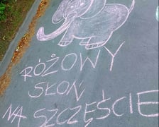 Rodzice ósmoklasistów z SP26 na Maślicach stworzyli przed szkołą motywacyjną "aleję gwiazd"