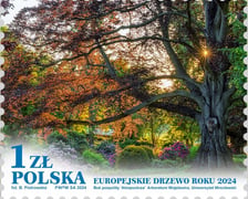 <p>Znaczek z bukiem pospolitym z Wojsławic, kt&oacute;ry jest Europejskim Drzewem Roku 2024</p>