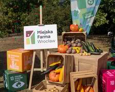 Wrocławskie Dni Promocji Zdrowia, 07.09.2024