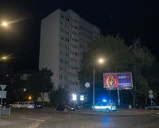 Ewakuacja mieszkańców bloku przy ul. Poznańskiej. Kilka niewybuchów w jednym z mieszkań
