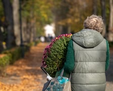 Przygotowania do Wszystkich Świętych na cmentarzu Osobowickim - 27.10.2024