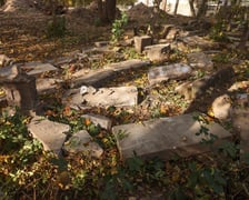 <p>Stele odkryte na gruzowisku na cmentarzu przy ul. Krzyckiej na Krzykach</p>