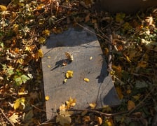 <p>Stele odkryte na gruzowisku na cmentarzu przy ul. Krzyckiej na Krzykach</p>