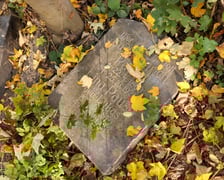 <p>Stele odkryte na gruzowisku na cmentarzu przy ul. Krzyckiej na Krzykach</p>