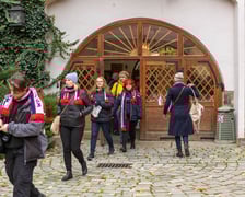 WrocWalk 2024. Wrocław, 11.11.2024.