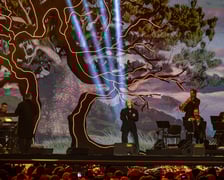 Koncert na wrocławskim Rynku, 11.11.2024