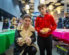 Targi terrarystyczne na Tarczyński Arenie (8 grudnia 2024 roku)