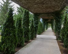 <p>Pergola pod Wrocławiem przypomina tę przy Hali Stulecia.</p>
