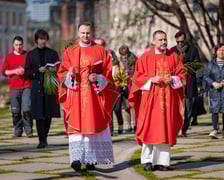 Niedziela Palmowa we Wrocławiu, 13.04.2025 r.