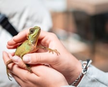 Targi Exoticarium w budynku NOT (4 maja 2025)