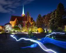 <p>Iluminacje tulipan&oacute;w 2 Ogrodzie Botanicznym 2025</p>