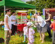 Piknik z okazji Dnia Rodzicielstwa Zastępczego, który odbył się w sobotę 31 maja w parku Grabiszyńskim we Wrocławiu