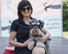 Wielki Piknik Charytatywny Grupy Ratuj w parku Grabiszyńskim
