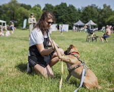 Wielki Piknik Charytatywny Grupy Ratuj w parku Grabiszyńskim