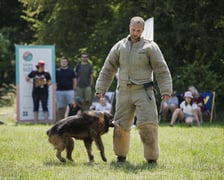 Wielki Piknik Charytatywny Grupy Ratuj w parku Grabiszyńskim