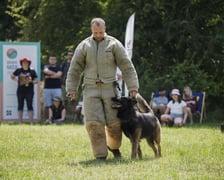 Wielki Piknik Charytatywny Grupy Ratuj w parku Grabiszyńskim