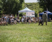 Wielki Piknik Charytatywny Grupy Ratuj w parku Grabiszyńskim