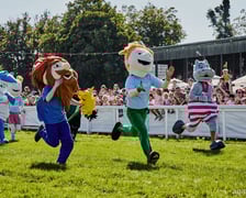 <p>Atrakcje na Family Day na Partynicach, zdjęcie ilustracyjne</p>
