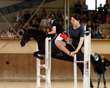 <p>Atrakcje na Family Day na Partynicach, pokaz potęgi skoku - jeźdźcy vs hobby horse, zdjęcie ilustracyjne</p>