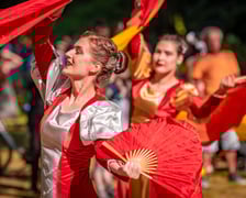 <p>Wielki Piknik na Pawłowicach</p>