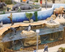 Miniaturowe ZOO w Kolejkowie