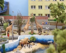 Miniaturowe ZOO w Kolejkowie