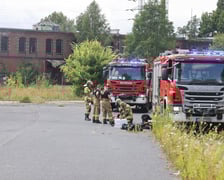 <p>Pożar przy ul. Świstackiego na Przdmieściu Oławskim</p>