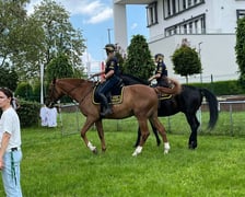 Straż Miejska we Wrocławiu i jej różnorodne zadania