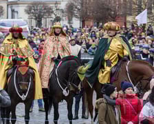 Konie Straży Miejskiej we Wrocławiu