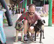 Targi dla zwierzaków na Świebodzkim