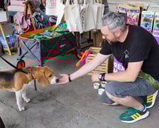 Targi dla zwierzaków na Świebodzkim