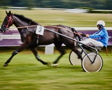 7 dzień wyścigowy na Partynicach - 10.08.25