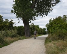 Droga dojazdowa i most nad Ślęzą łączący Muchobory, sierpnień 2025