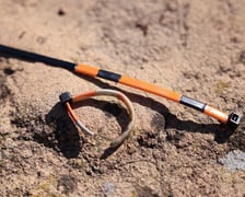 Obrączkowanie pingwinów przylądkowych w ZOO Wrocław