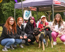 <p>Piknik Adopciaka zorganizowany przez Grupę Ratuj w parku Grabiszyńskim. Wrocław, 14.09.2025</p>